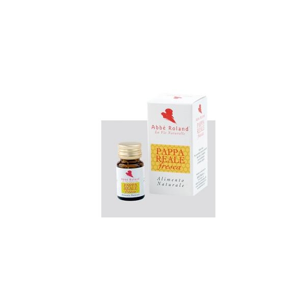BODY SPRING NSNELLA 50T CHIT