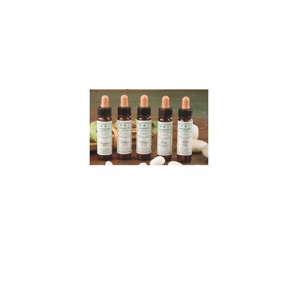 AINSWORTHS WILD ROSE 10ML