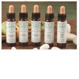 AINSWORTHS WILLOW 10ML