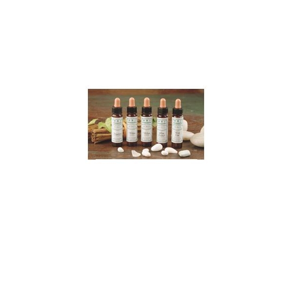 AINSWORTHS RECOV REMEDY 10ML