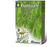 PUNTUALE 60CPR