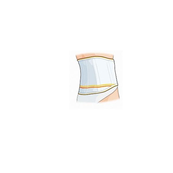 GIBAUDORTHO CINT LOMBARE STEC4