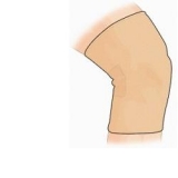 GIBAUD COPRISP ANAT 3