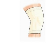 GIBAUD COPRISP ANAT 5