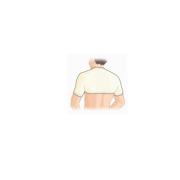 GIBAUD COPRISP ANAT 6