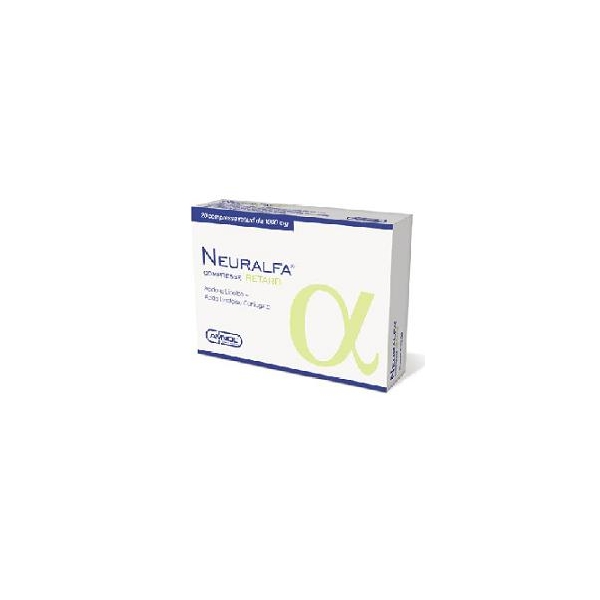 MOLLET GAMB 140 CLEAR 2
