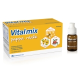 VITALMIX PAPPA REALE 10 FLACONCINI 10ML